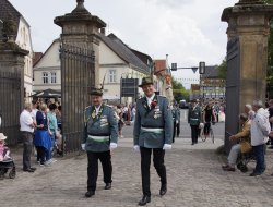 sf sonntag 2025114